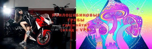 дурь Коряжма