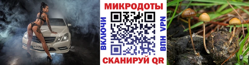 гидра маркетплейс  Ясный  Псилоцибиновые грибы Cubensis  закладка 